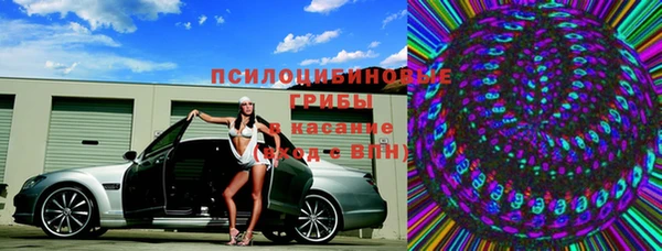 ешки Алзамай