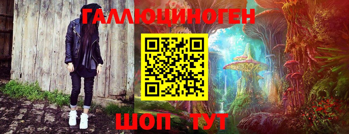 Тамбов  Галлюциногенные грибы Magic Shrooms  купить наркотики цена  Галлюциногенные грибы ЛСД  Вход с VPN 