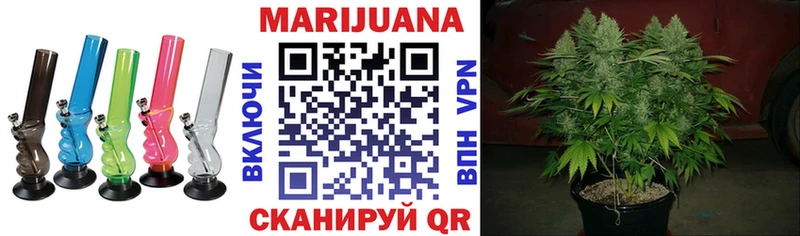 мега ССЫЛКА  Тамбов  дарк нет телеграм  Бошки марихуана индика 